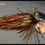 Miniature : Big Spoon Spin
