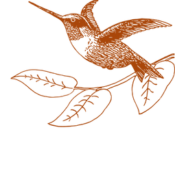 Kopie von Kopie von Kopie von LOGO NEU GDS (1).png