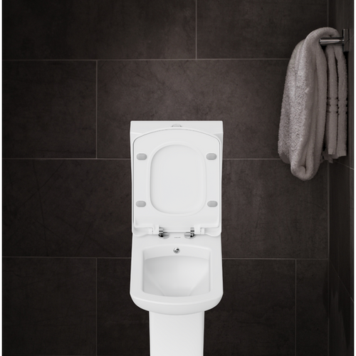 Lara P-Trap Pan & Cistern Combined Bidet (Short Projection) | ESE ...