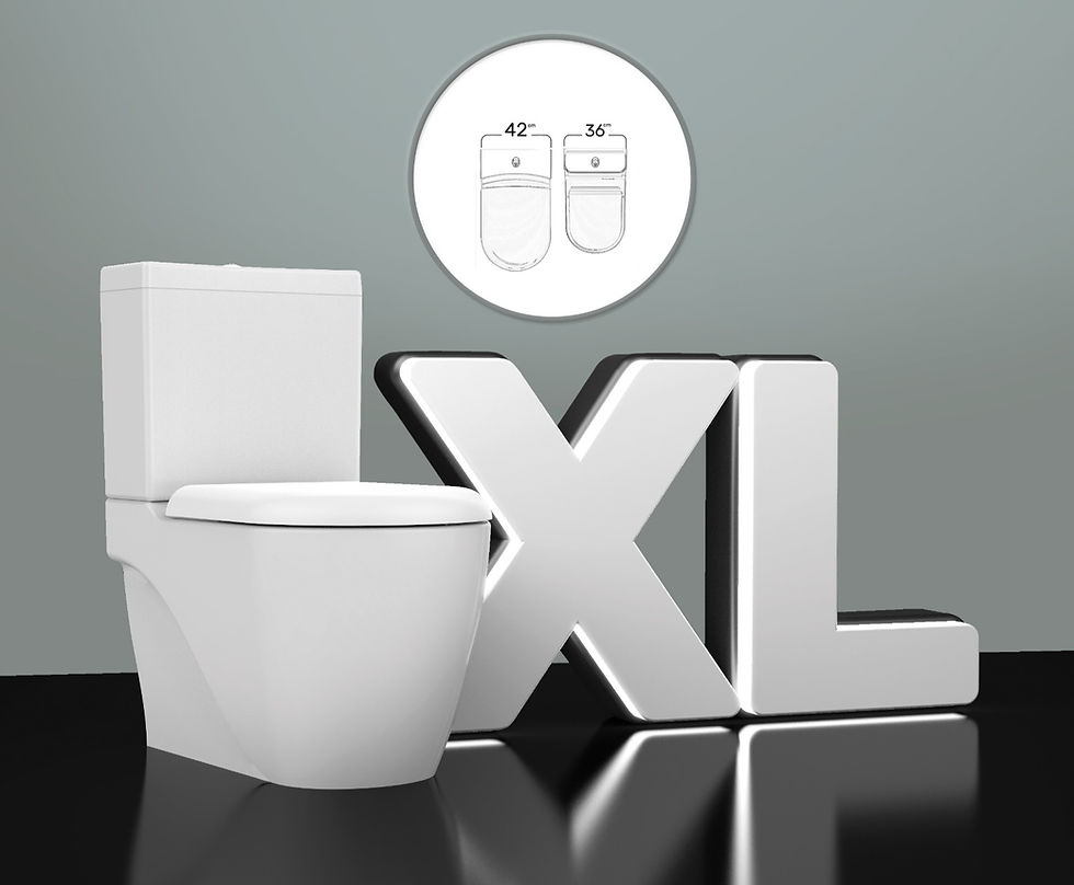 Thumbnail: Grande XL Back to Wall Pan & Cistern Combined Bidet
