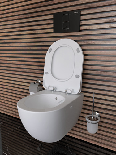 Free Rimless Wall Hung Pan Combined Bidet with Integrated Bidet Tap ...