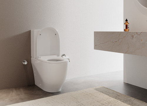 Mare Rimless Back to Wall Pan & Cistern Combined Bidet | ESE BATHROOMS LTD
