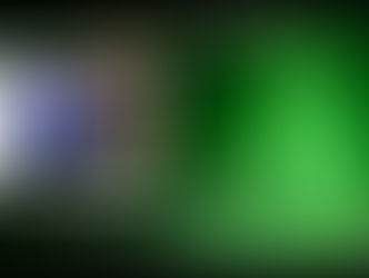 Happy Holidays to Linda, Dale and Madelyn from Moonshadow