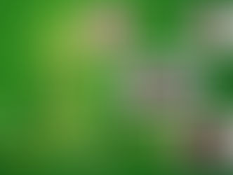 Happy Holidays to The Dietz Family from Moonshadow