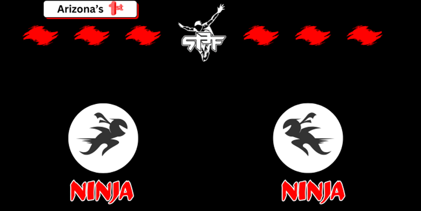 ninja vs ninja flyer 2025