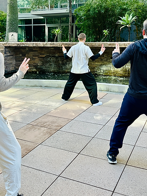 Copy of Copy of Tai Chi Free Class-2.PNG