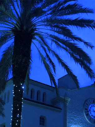 FICTION: THE FLORIDA SHUFFLE BY JAMES MCADAMS