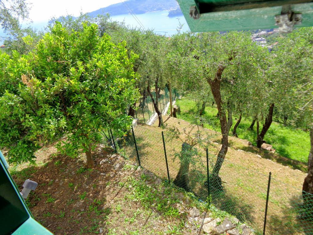 ZOAGLI- Via Cornice di Sant'Ambrogio - 60MQ su 2 livelli +giardino