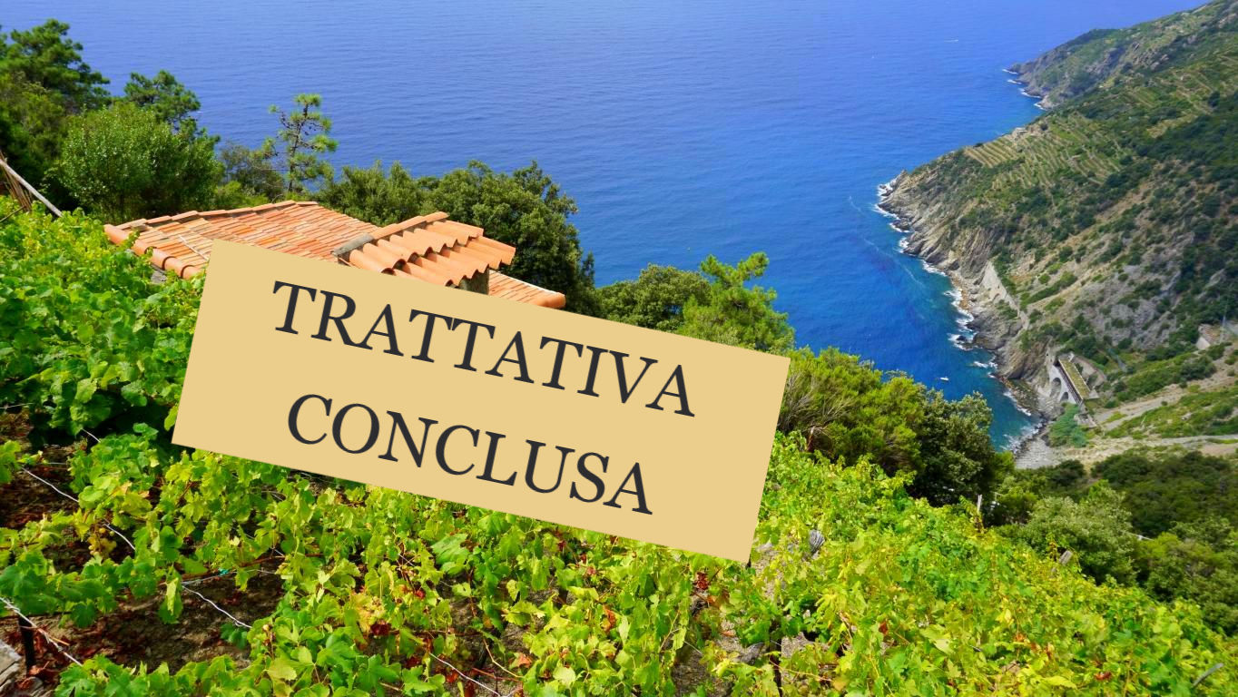 LA SPEZIA - 5 TERRE -Riomaggiore 30MQ su due livelli + 670mq di vigneto
