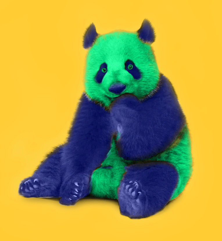 Panda.gif