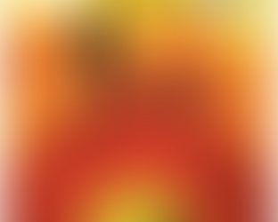 RADIOGRAFIA – ZECA BALEIRO