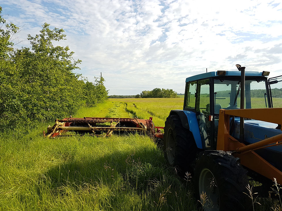 Ben's first ever cut of hay!