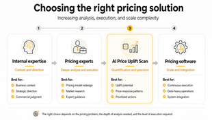From Pricing Diagnostics to Price Uplift: What Solution Do You Really Need?