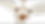 Thumbnail: Grace Series