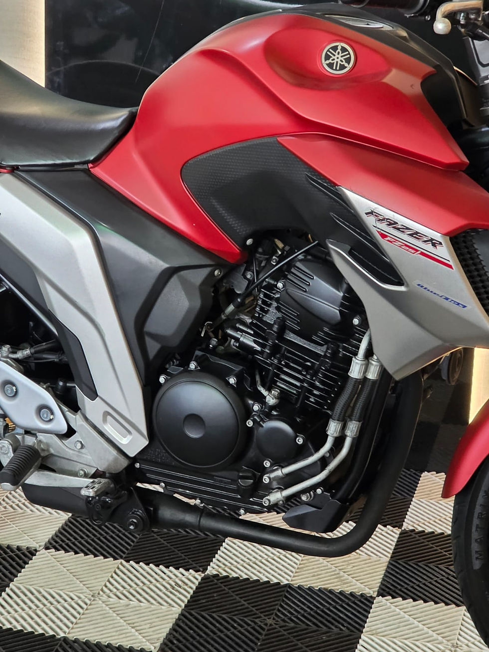 Miniatura: YAMAHA FAZER 250 ABS