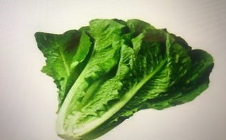 Lettuce%20soup_edited.jpg
