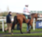 Royal Cave returns to unsaddle in 3rd place. 