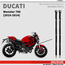 Misano Evo 2 Ducati Monster 796 (2010-2014)