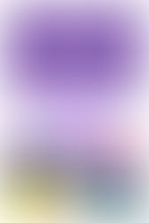 Colorimetría del fondo Morado