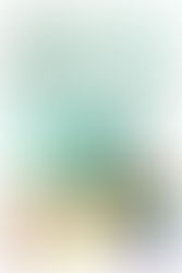 Colorimetría del fondo Menta