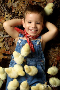 Café - Mascotas (4).jpg