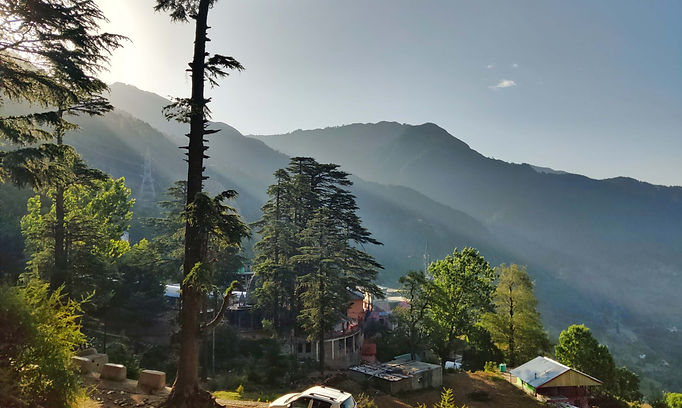 Patnitop.jpeg
