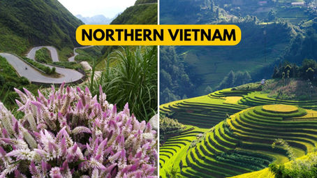 Northern Vietnam: A Motorcycle Tour Through Ha Giang Loop and Sapa