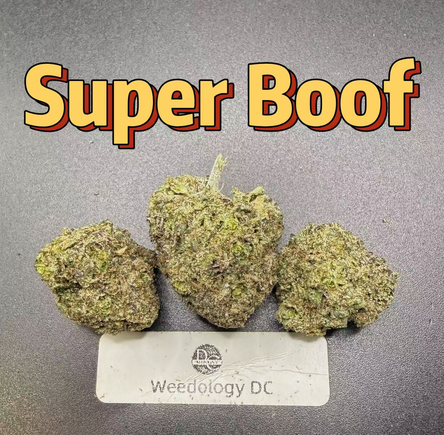 Super Boof---Exotics