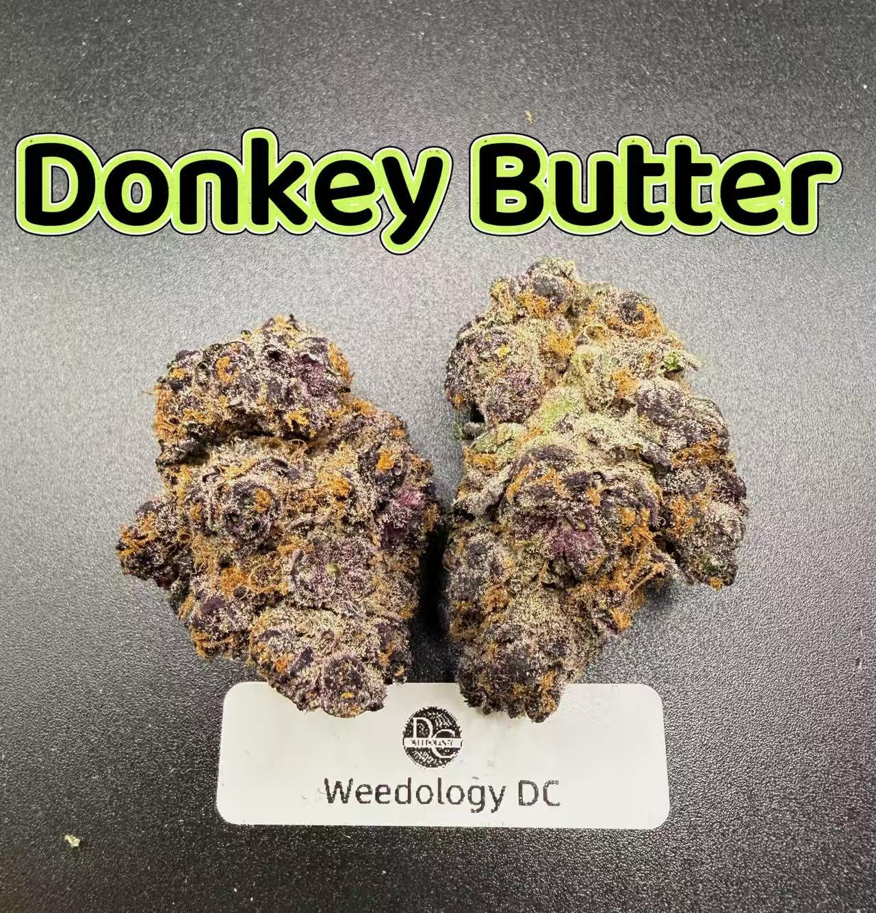 Donkey Butter---Exotics