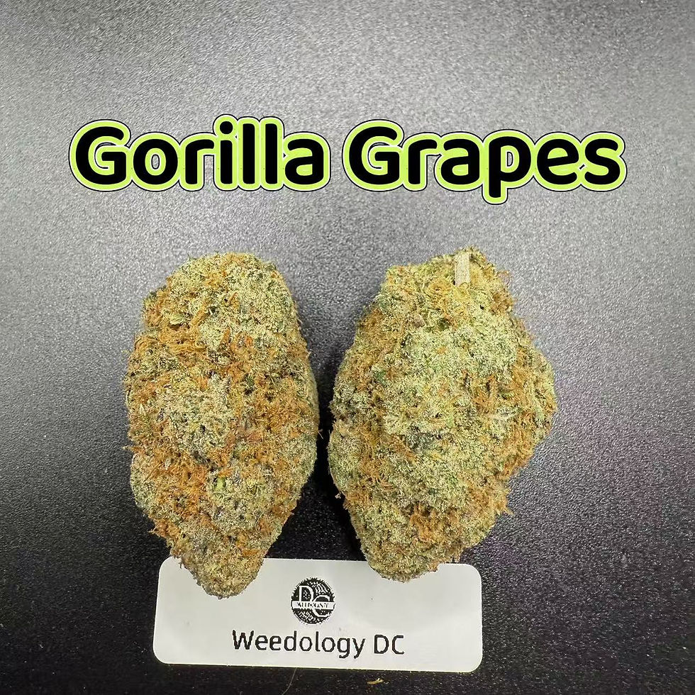 Gorilla Grapes---Exotics