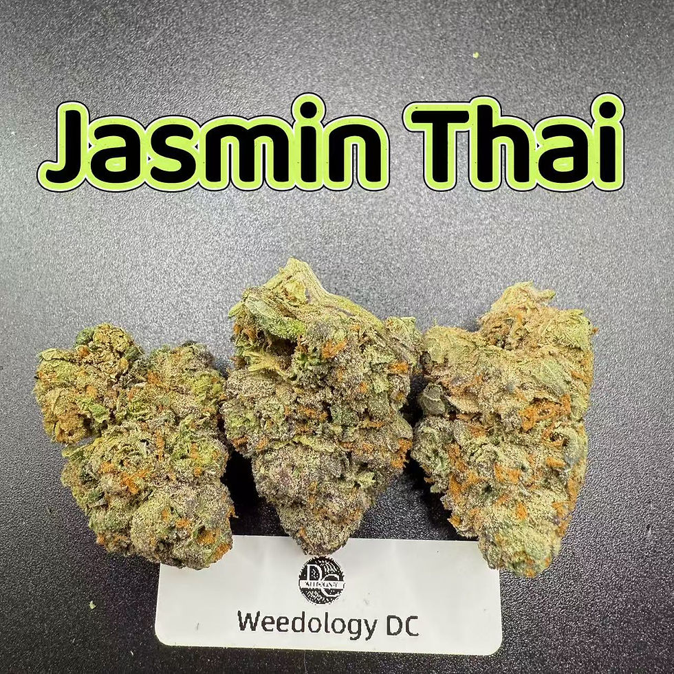 Jasmin Thai