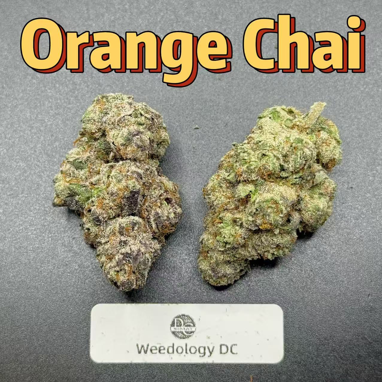 Orange Chai---Exotics