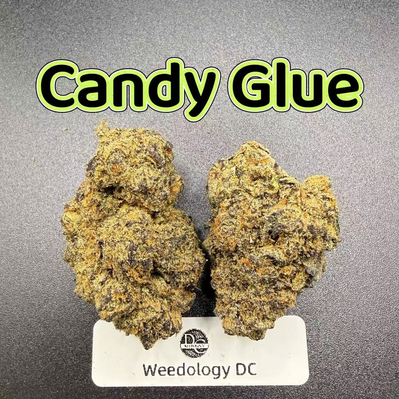 Candy Glue---Top Shelf