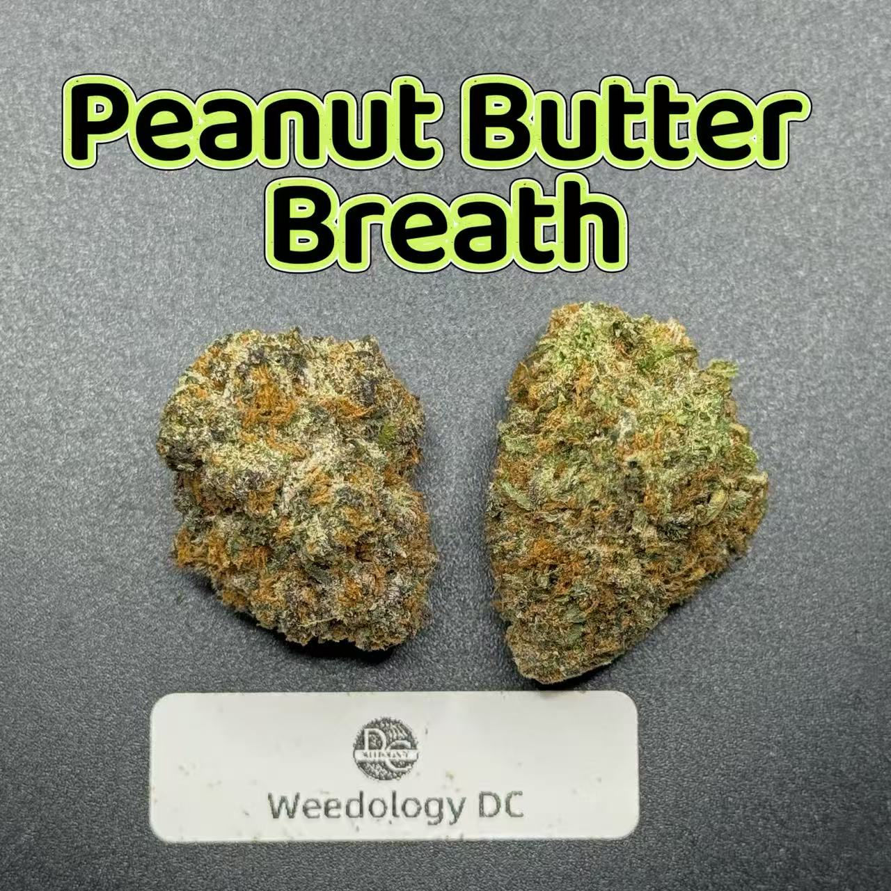 Peanut Butter Breath---Exotics