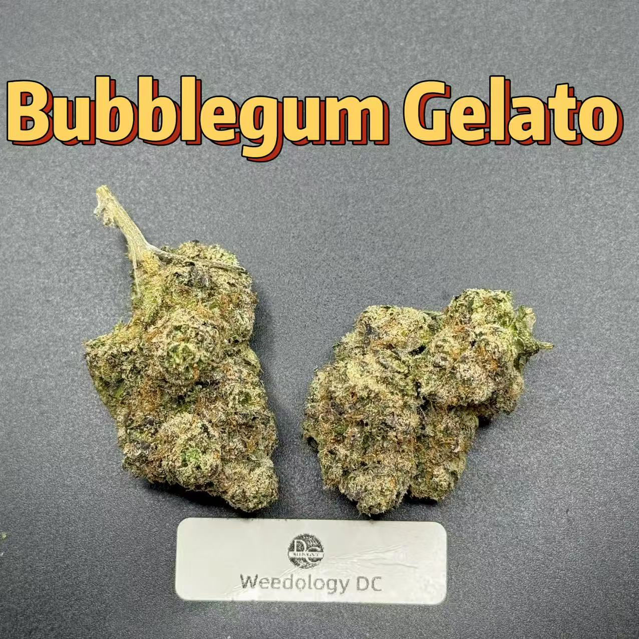 Bubblegum Gelato---Designer