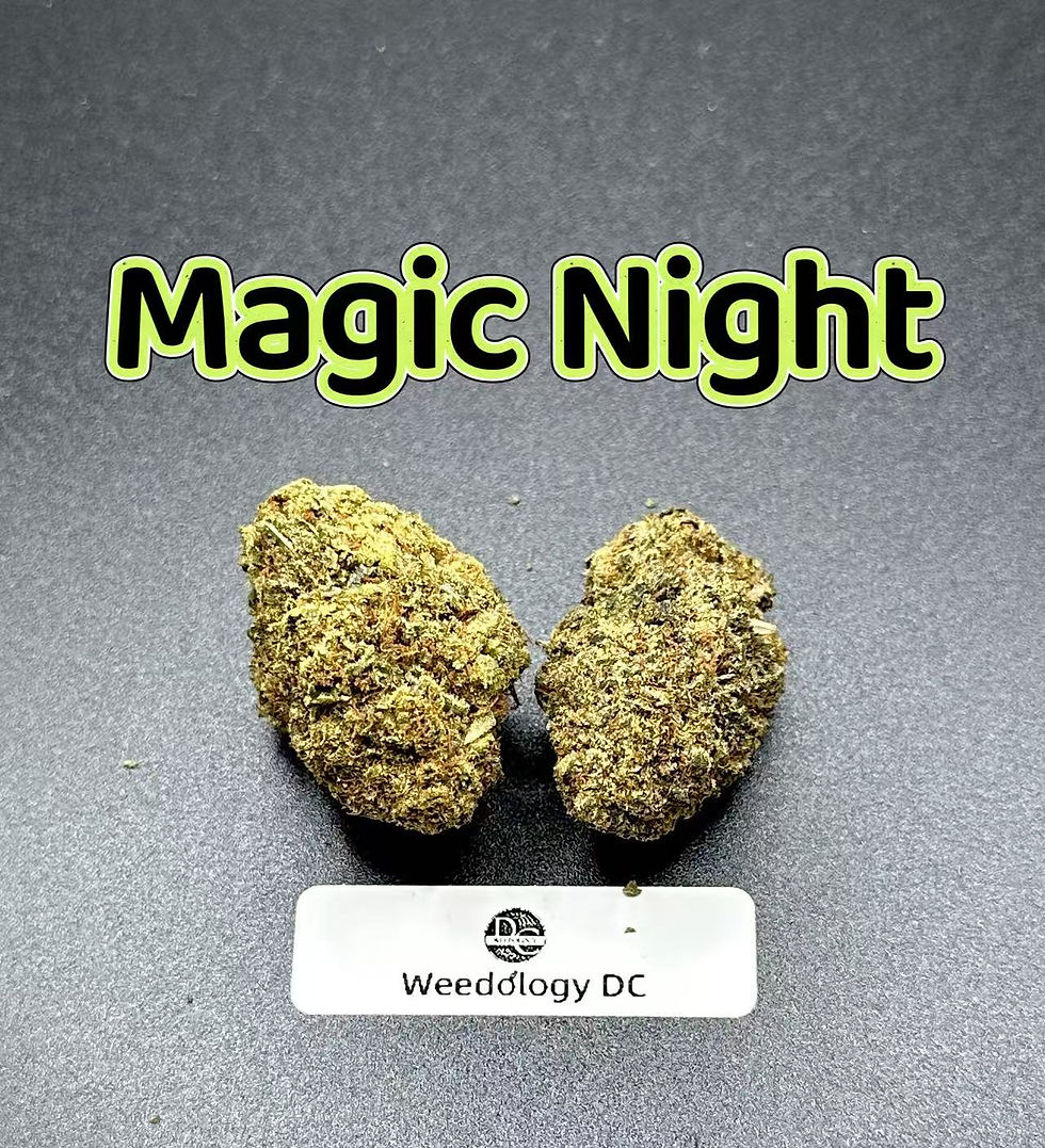 Magic Night---Top Shelf