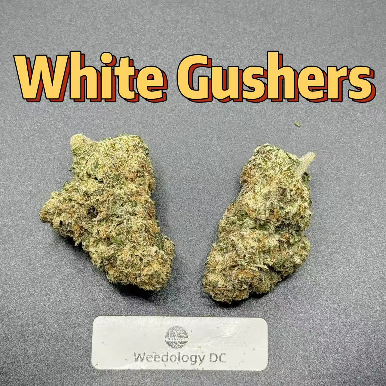 White Gushers---Exotics