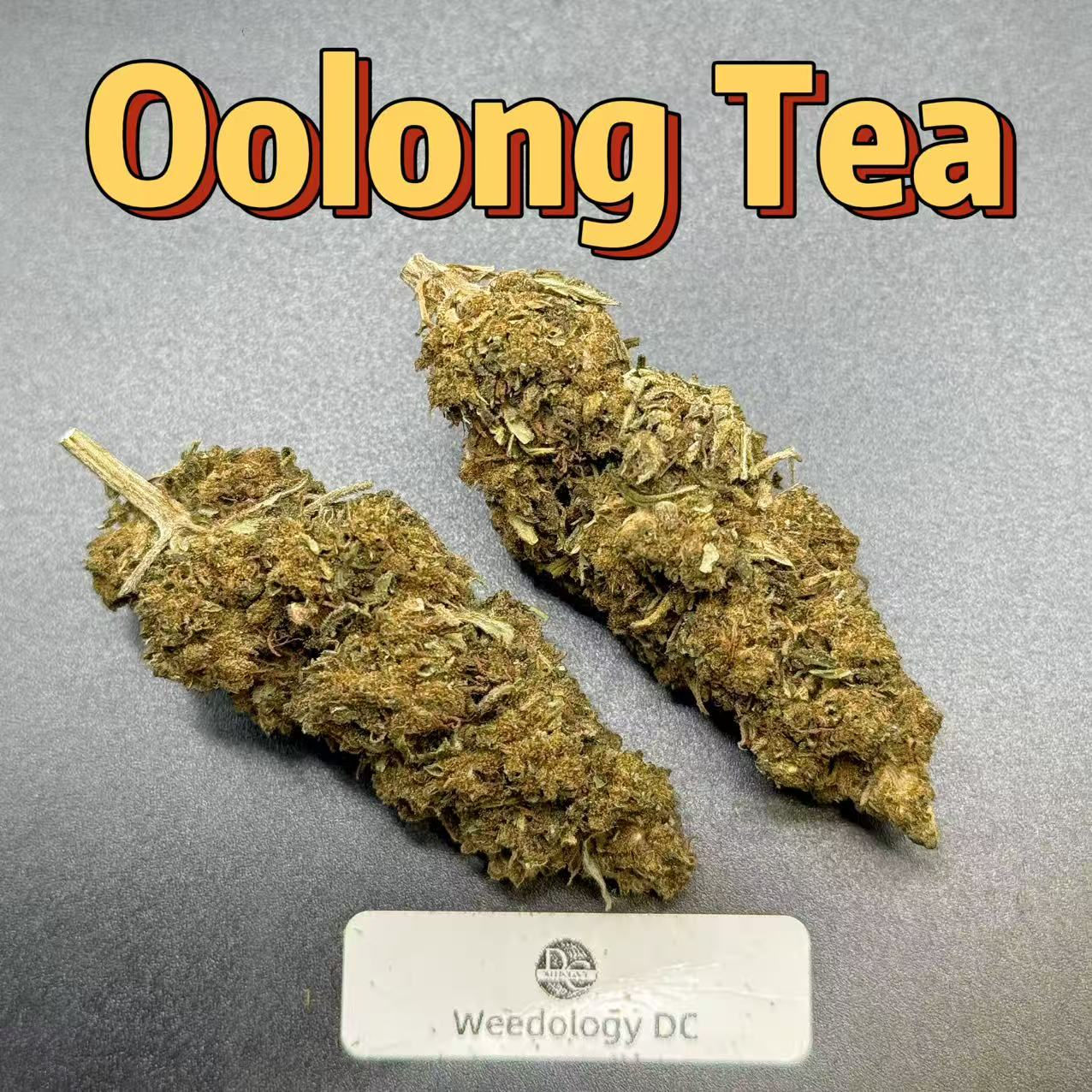 Oolong Tea