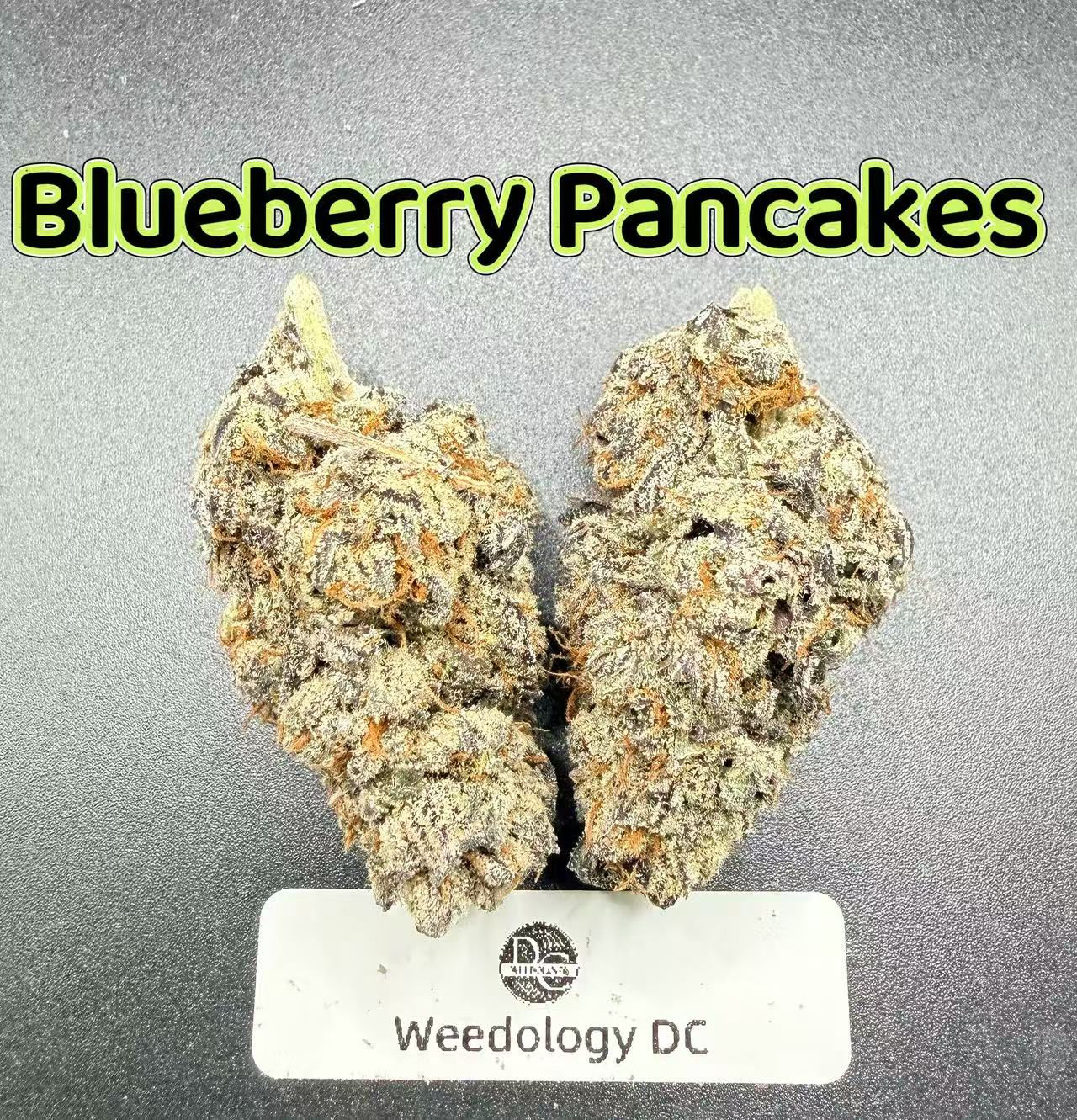 Blueberry Pancakes---Designer