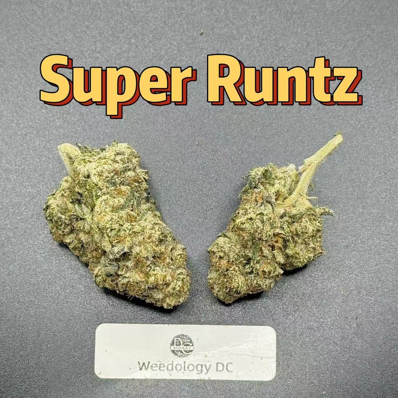 Super Runtz---Exotics