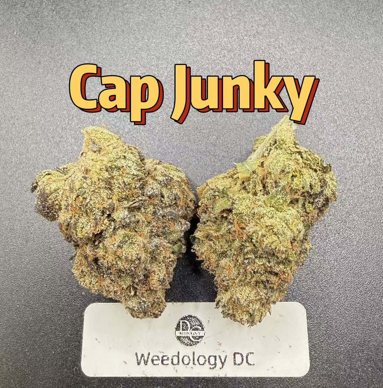 Cap Junky---Exotics