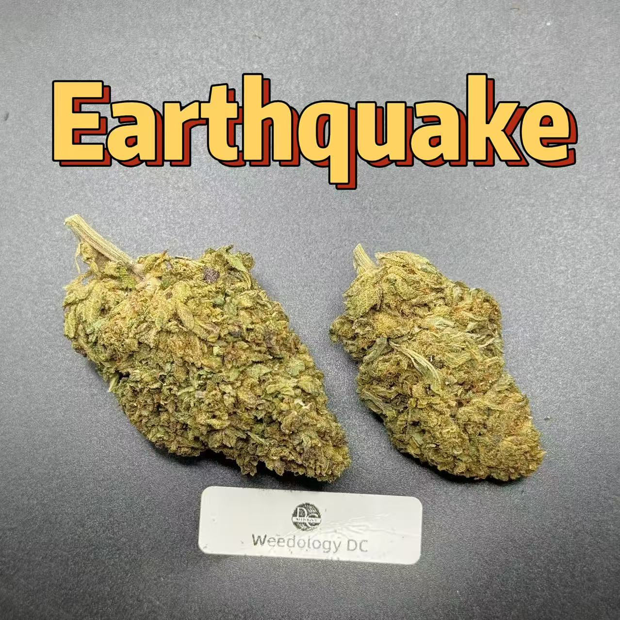 Earthquake