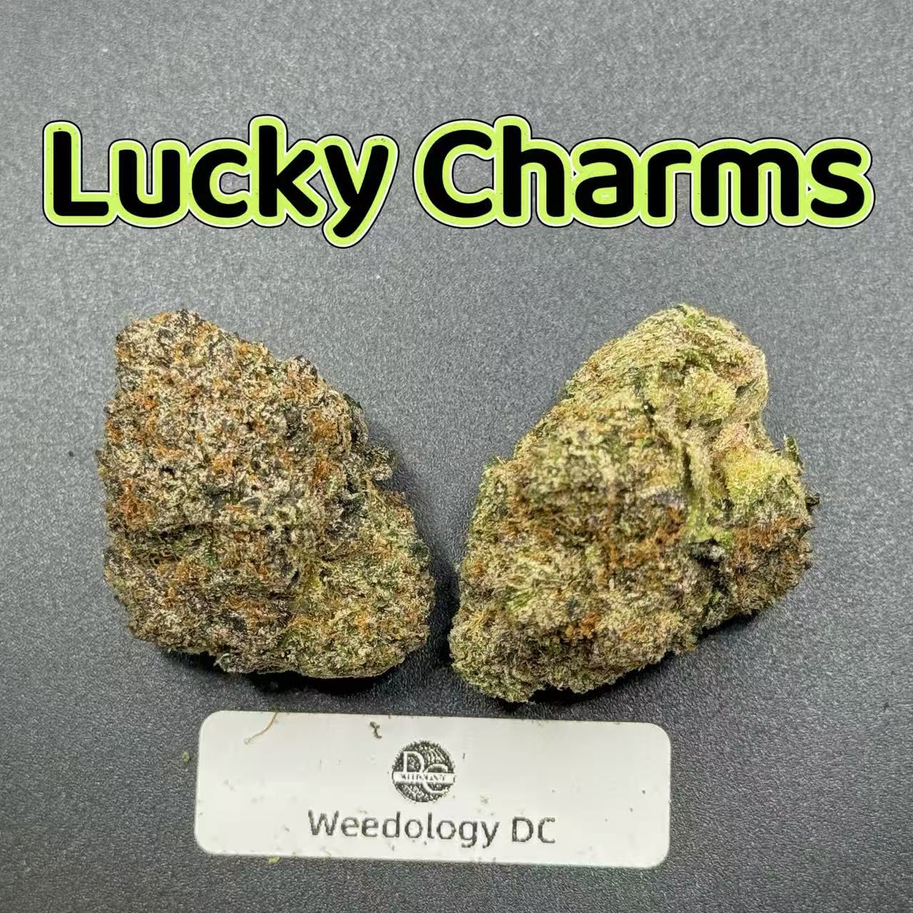 Lucky Charms---Designer