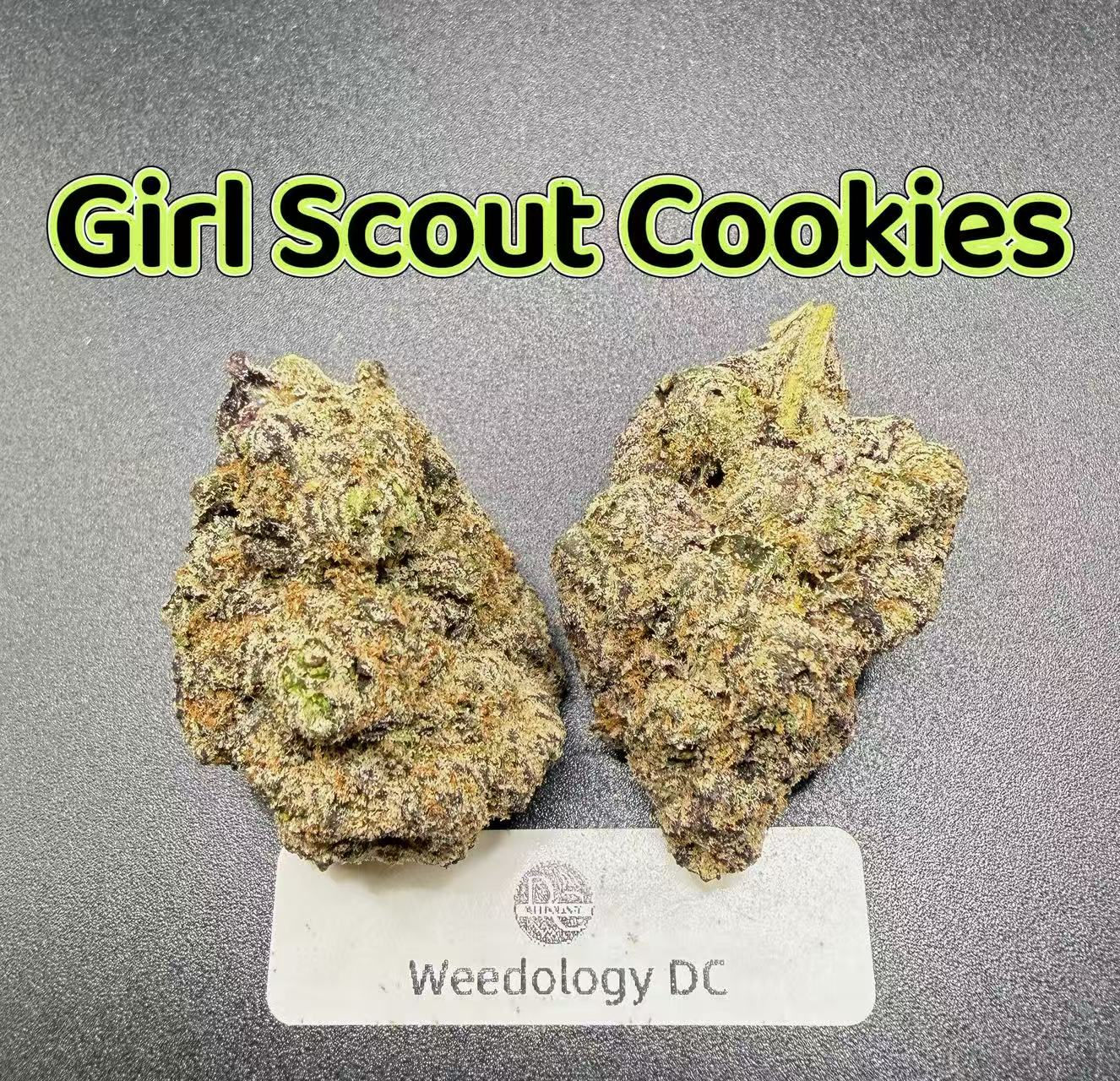 Girl Scout Cookies---Exotics