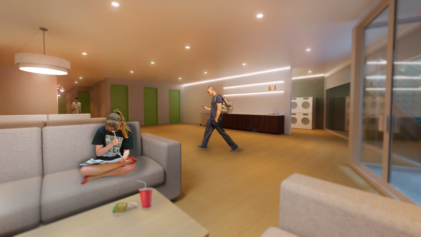 Basement Laundry and Lounge
