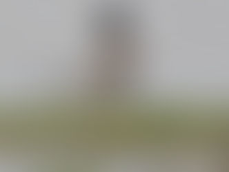 UK First Draws in the Crowds