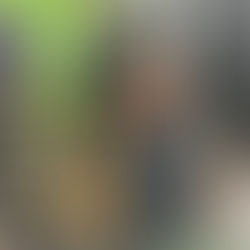 From Newcastle to Italy!