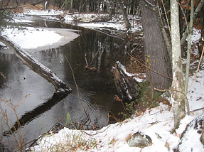 Screenshot (227).png