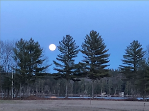 Screenshot (224).png