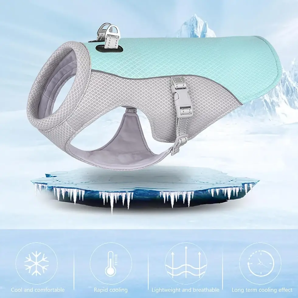 Thumbnail: Summer Dog Cooling Vest Breathable Adjustable Pet Clothing